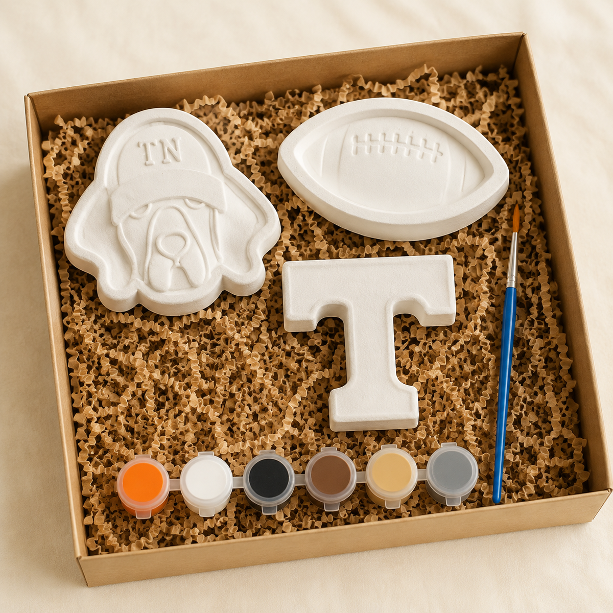 Tennessee Game Day Paint Kit