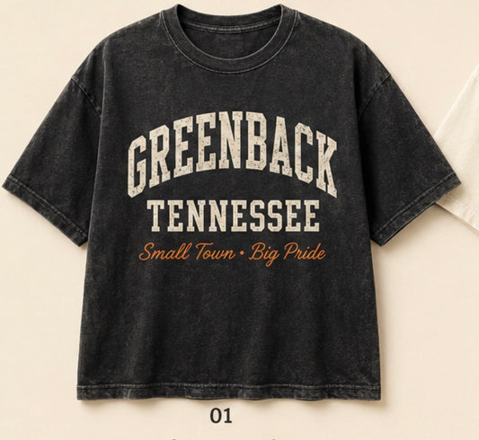 Greenback Tennessee Small Town Big Pride Tee