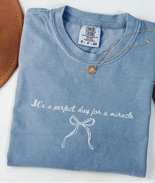 Perfect Day for a Miracle Comfort Colors Tee